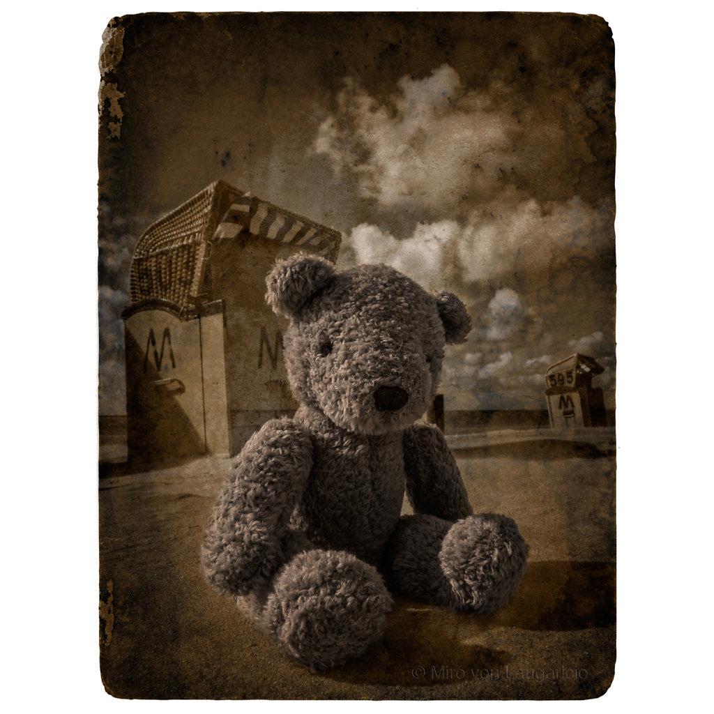 Teddy