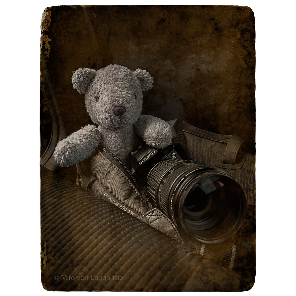 Teddy