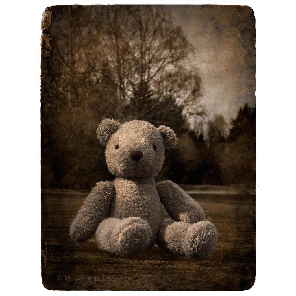 Teddy